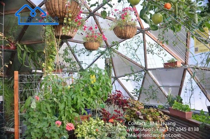 Greenhouse Dome Tent Greenhouse Dome Tent